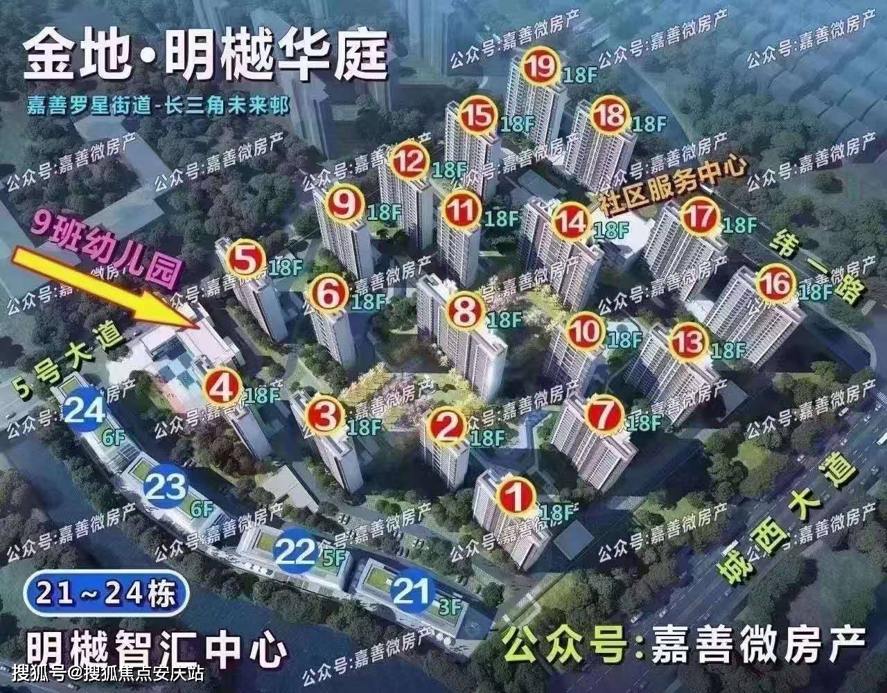 雨后春笋冒绿芽打一准确生肖，详细解答、综合解答解释落实