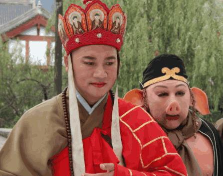 西行路上多坎坷，九九八一又回头打一正确生肖详细解答、解释与落实、深度解答解释落实